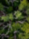 The Conjuring House-12_edited.jpg
